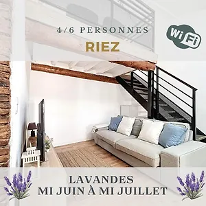 Duplex Sous Les Toits Appartement